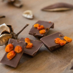 
            
                Load image into Gallery viewer, Taiga&amp;#39;s Milk Chocolate with Sea Buckthorn Berries 100g Milk Chocolate Taiga chocolate 
            
        